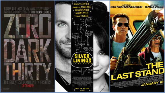 Zero Dark Thirty, Silver Plybk and Last Stand